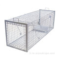 Humane Bollplapible Live Animal Trap Cage Cage Fox Traps